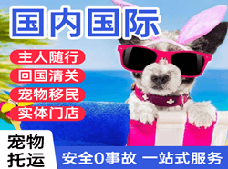 太平机场快运国际宠物托运 【国
